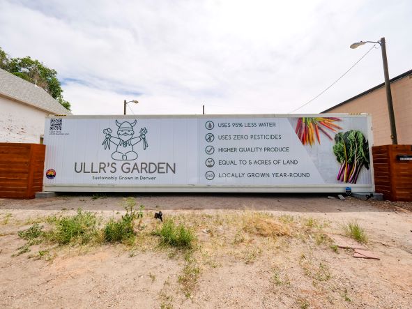 Shipping container farming creating opportunity to grow anything anywhere at anytime